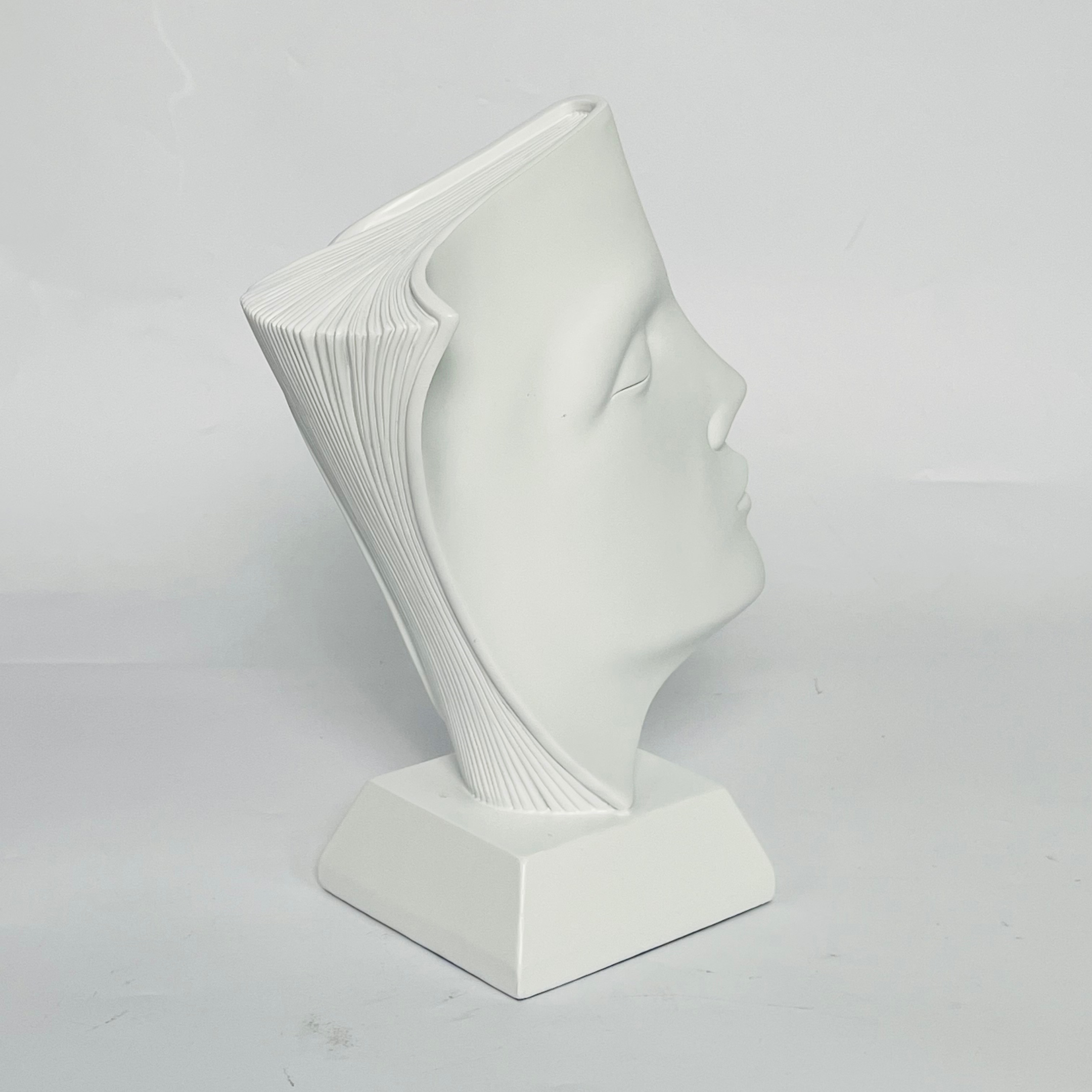 Modern Book Face Showpiece