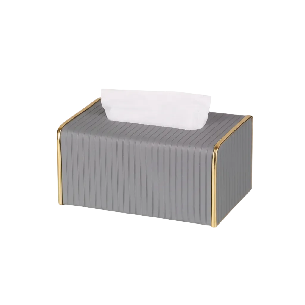 Modern Facial Tissue Box with Gold Trim