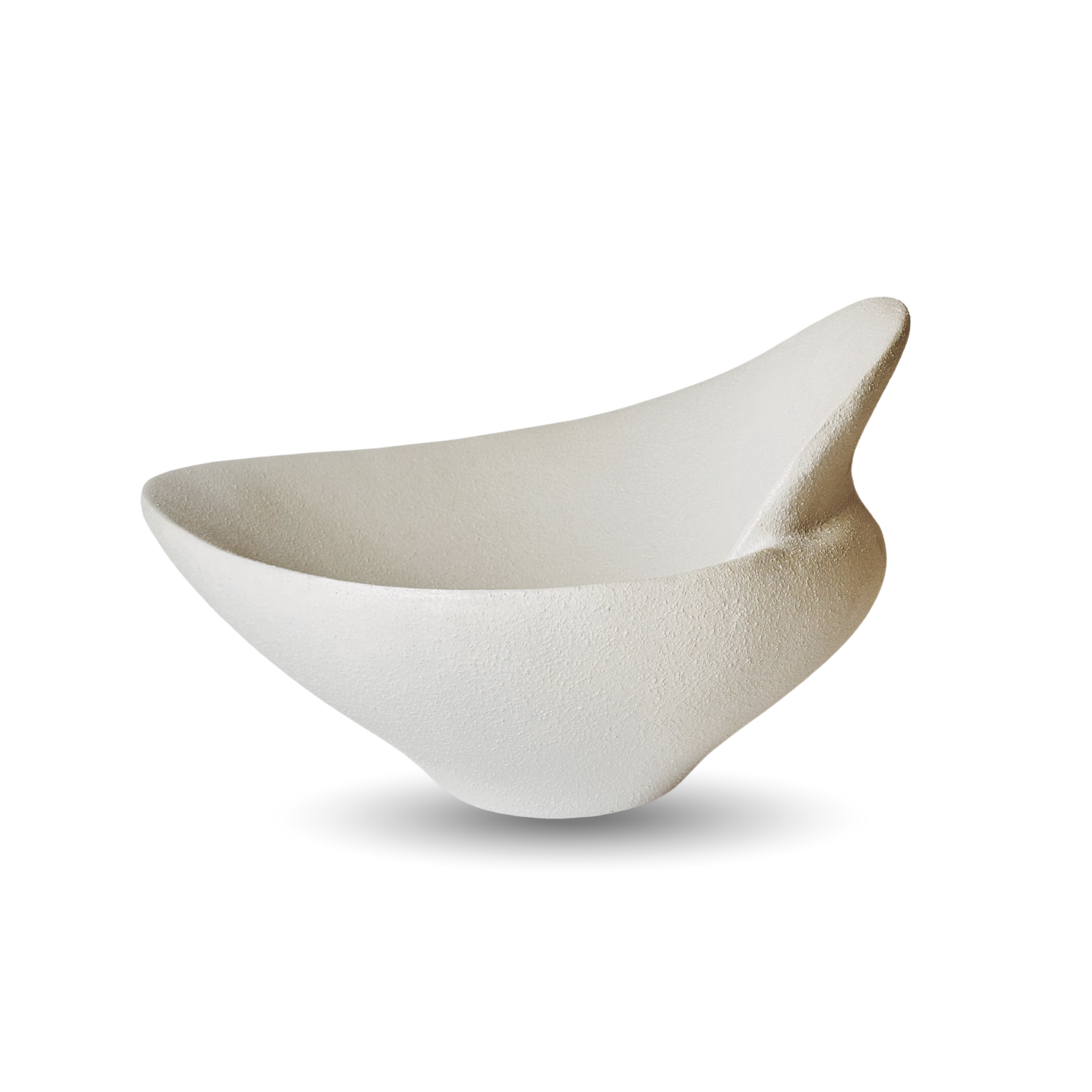 Luxurious Designer Bowl