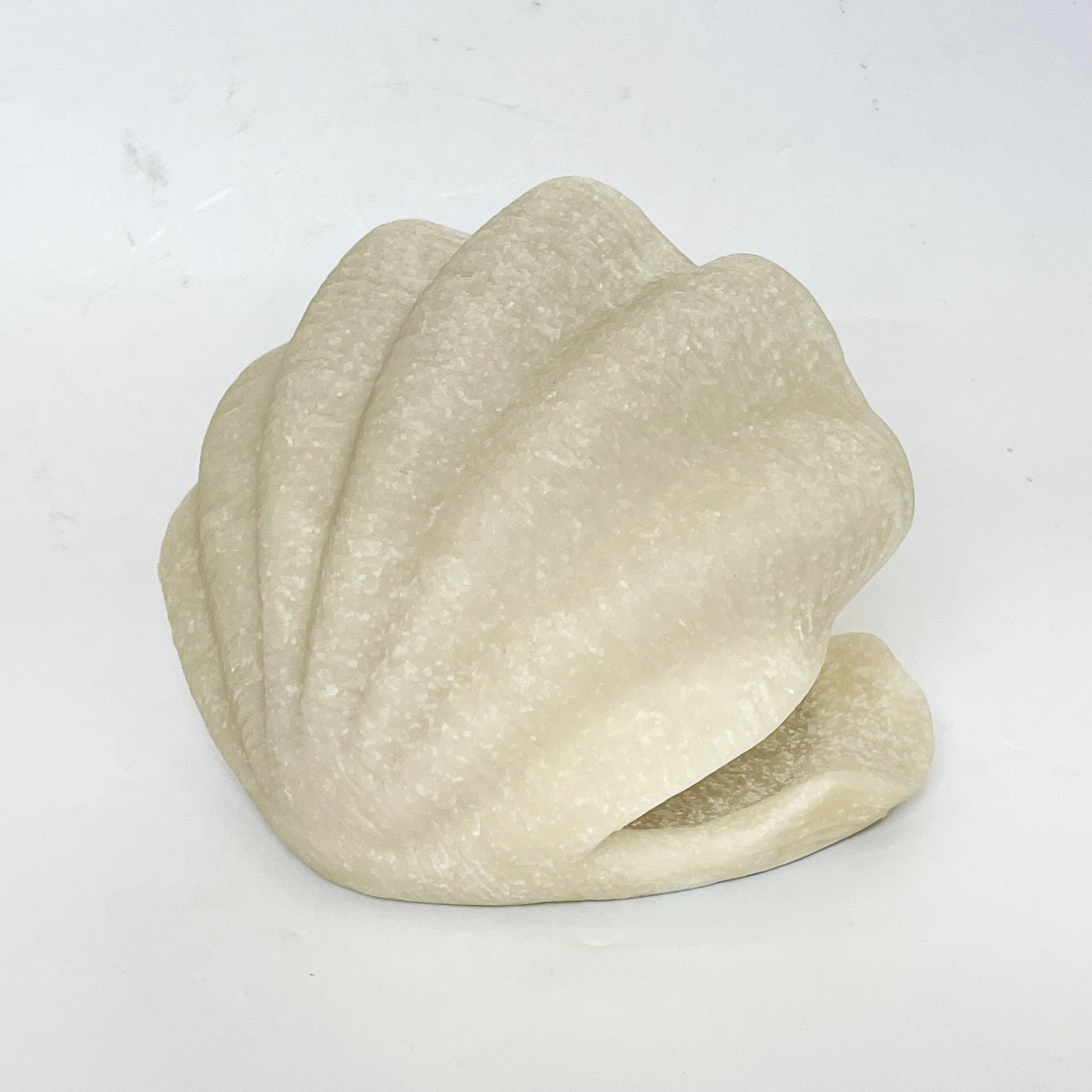 Sea Shell Marble Showpiece