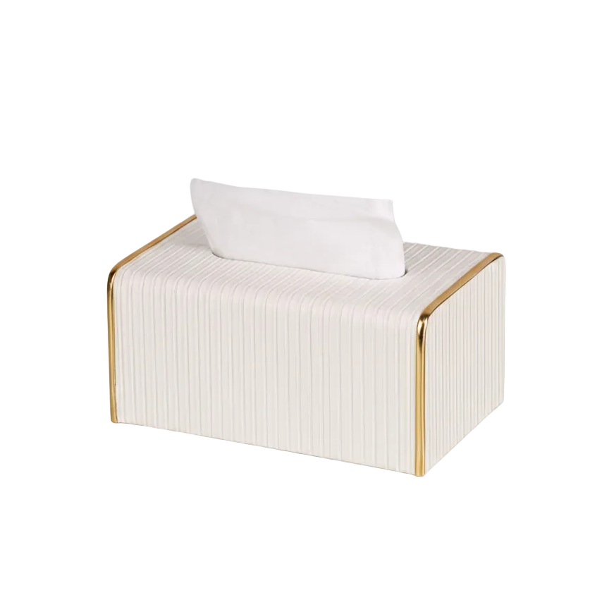 Modern Facial Tissue Box with Gold Trim
