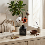Luxury Botanical Reed Diffuser Set