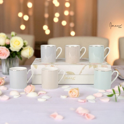 Luxury Ceramic Tea Cup - Set of 6 (100 cc)
