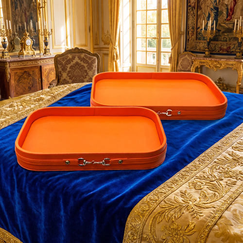 Luxury Burnt Orange Faux Leather Decorative Trays with Metallic Accent Set of 2