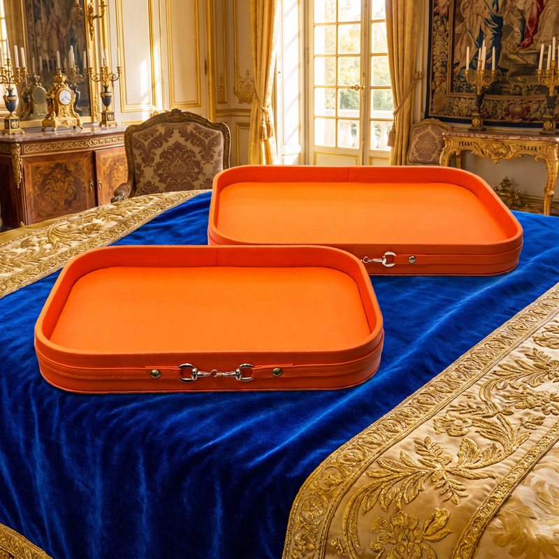 Luxury Burnt Orange Faux Leather Decorative Trays with Metallic Accent Set of 2