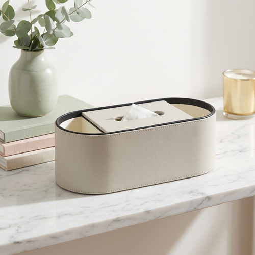 Elegant Dual-Slot Tissue Dispenser