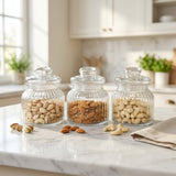 Elegant Hampton Glass Spice & Snack Canister Trio