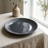Dark Slate Grey Ceramic Dinner Plate 10.5 Inch