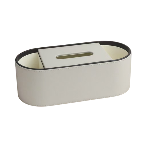 Elegant Dual-Slot Tissue Dispenser